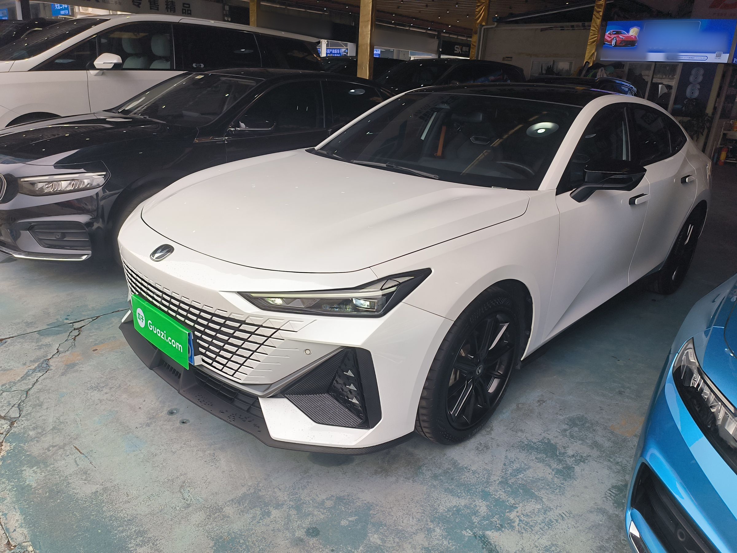 Parte inferior delantera