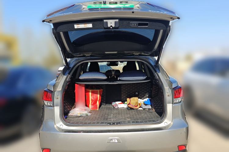 Used Lexus RX 2020 300 4x4 Elegant Edition China VI