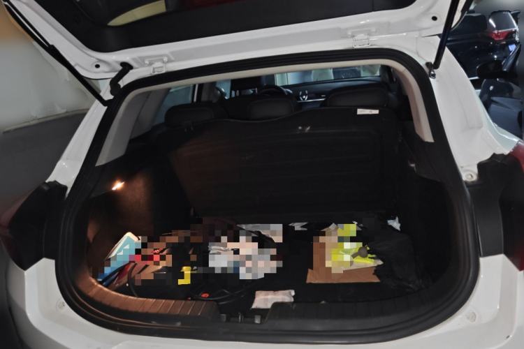 Used Geely Auto Emgrand GSe 2018 ZhenShang Model Trunk