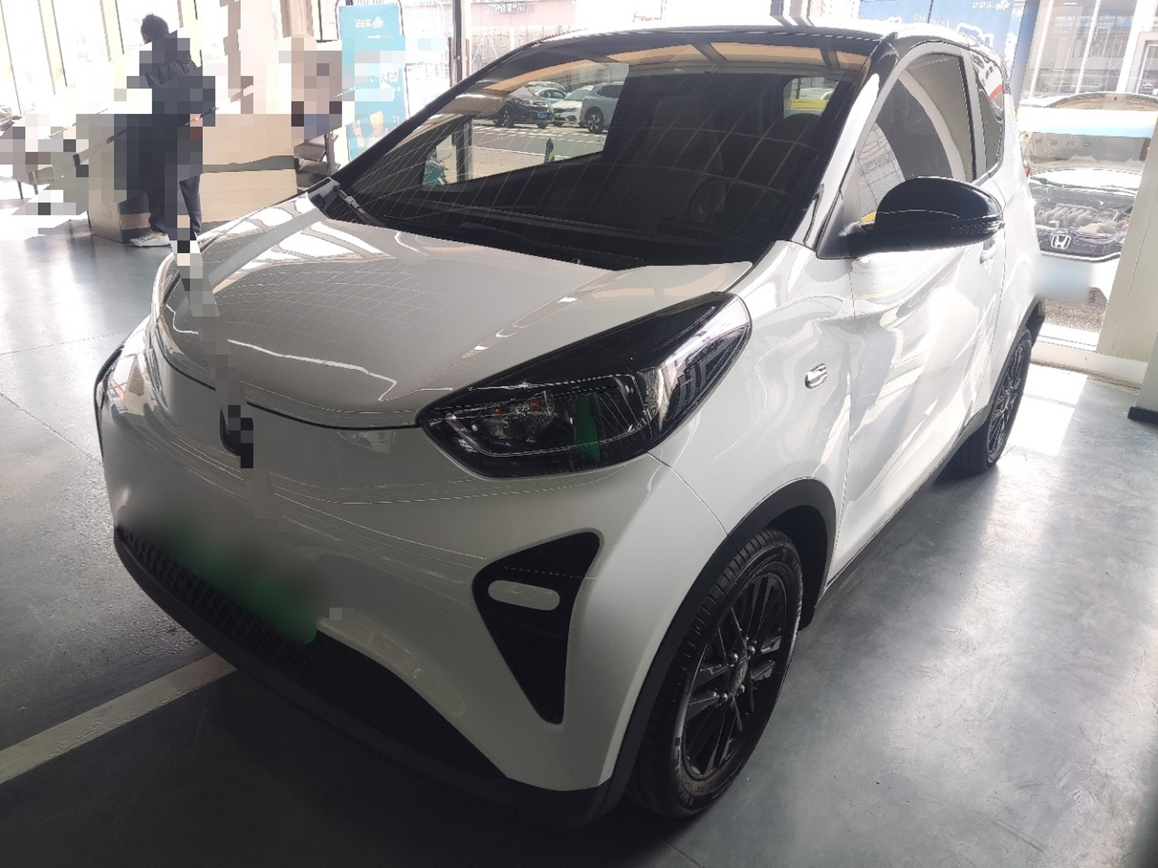 Parte inferior delantera