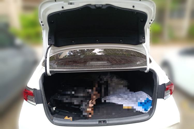 Used Toyota Corolla 2019 1.2T S-CVT GL-i Elite Edition