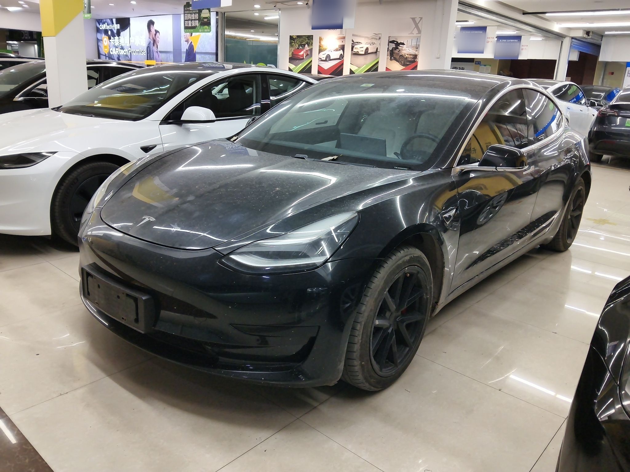 Parte inferior delantera