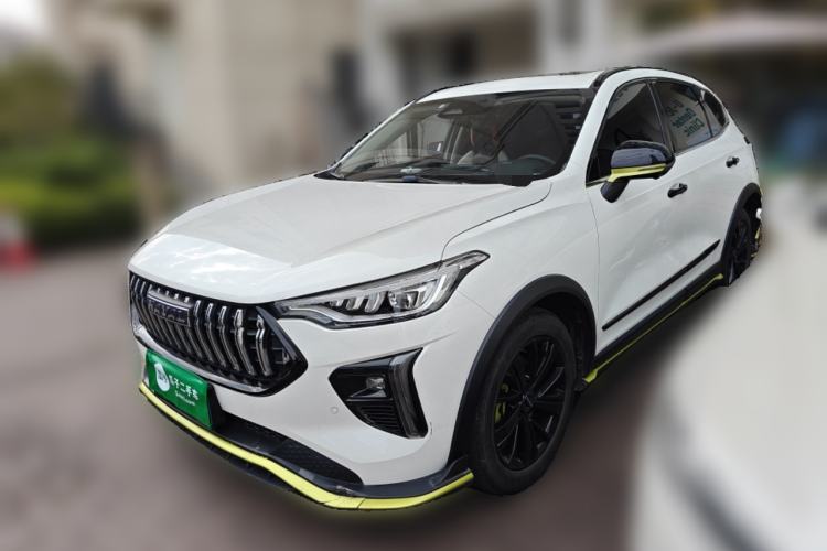 Used Haval LHERY 2021 High-Performance Version 1.5T Golden Rabbit
