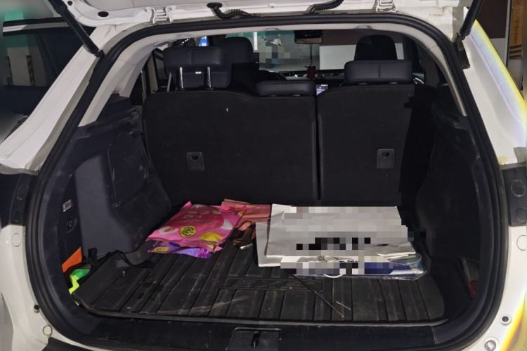 Used WM Motor EX5 2020 EX5-Z Fun Dynamic Edition
