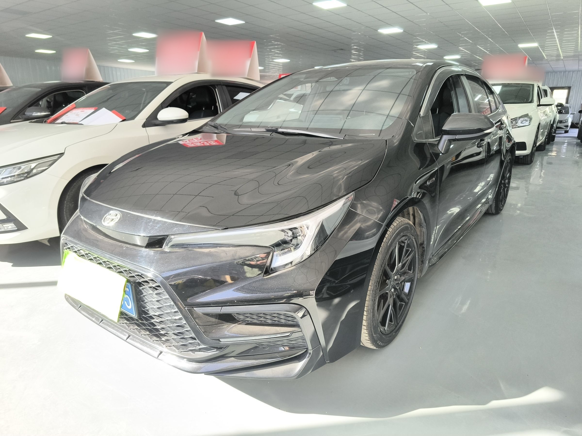 Parte inferior delantera