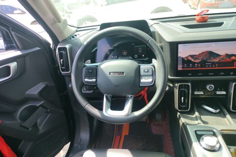 Used Haval DARGO 2024 2.0T DCT Chinese Rural Dog Edition
