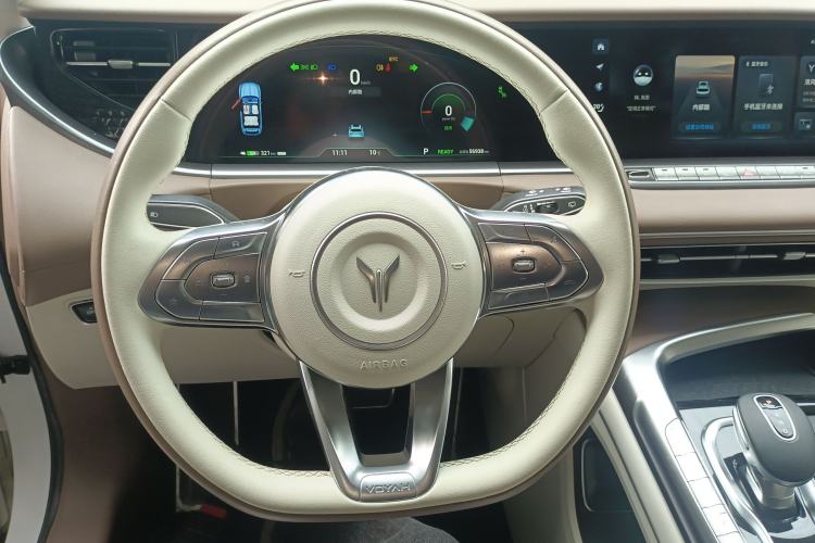 Used VOYAH FREE 2021 Four-Wheel Drive Standard All-Electric Exclusive Luxury Package