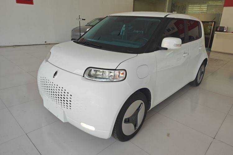 Used ORA White Cat 2020 360km Standard Version