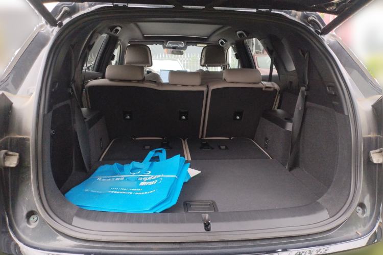 Used BYD Tang New Energy 2025 Intelligent Driving Version DM-i 115KM Flagship Edition