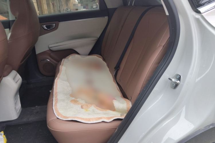 Used Wuling Bingo S 2025 Model 430km Deluxe Edition Left Rear Seat