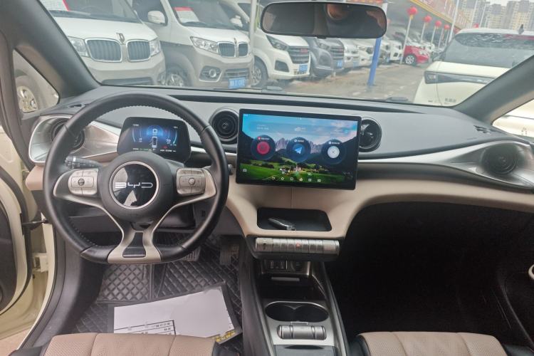 Used BYD Dolphin 2023 420 km Free Version Center Console