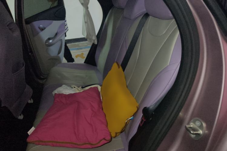 Used BYD Dolphin 2021 405 km Fashion Edition Left Rear Seat