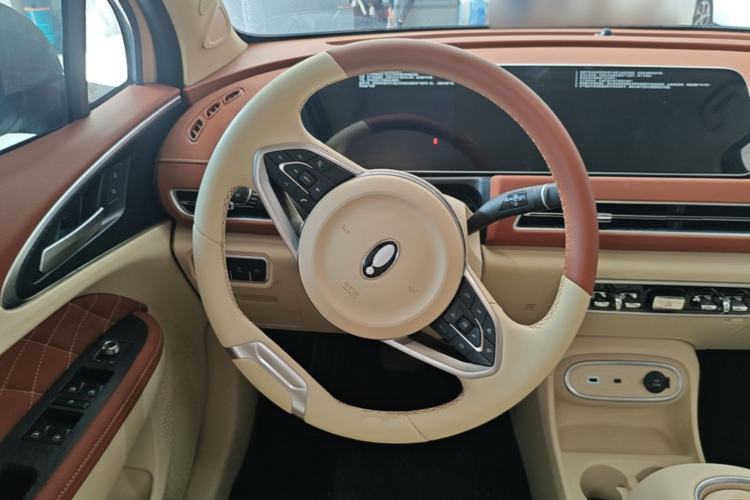 Used ORA Good Cat 2023 401 km Standard Range Luxury Version Lithium Iron Phosphate
