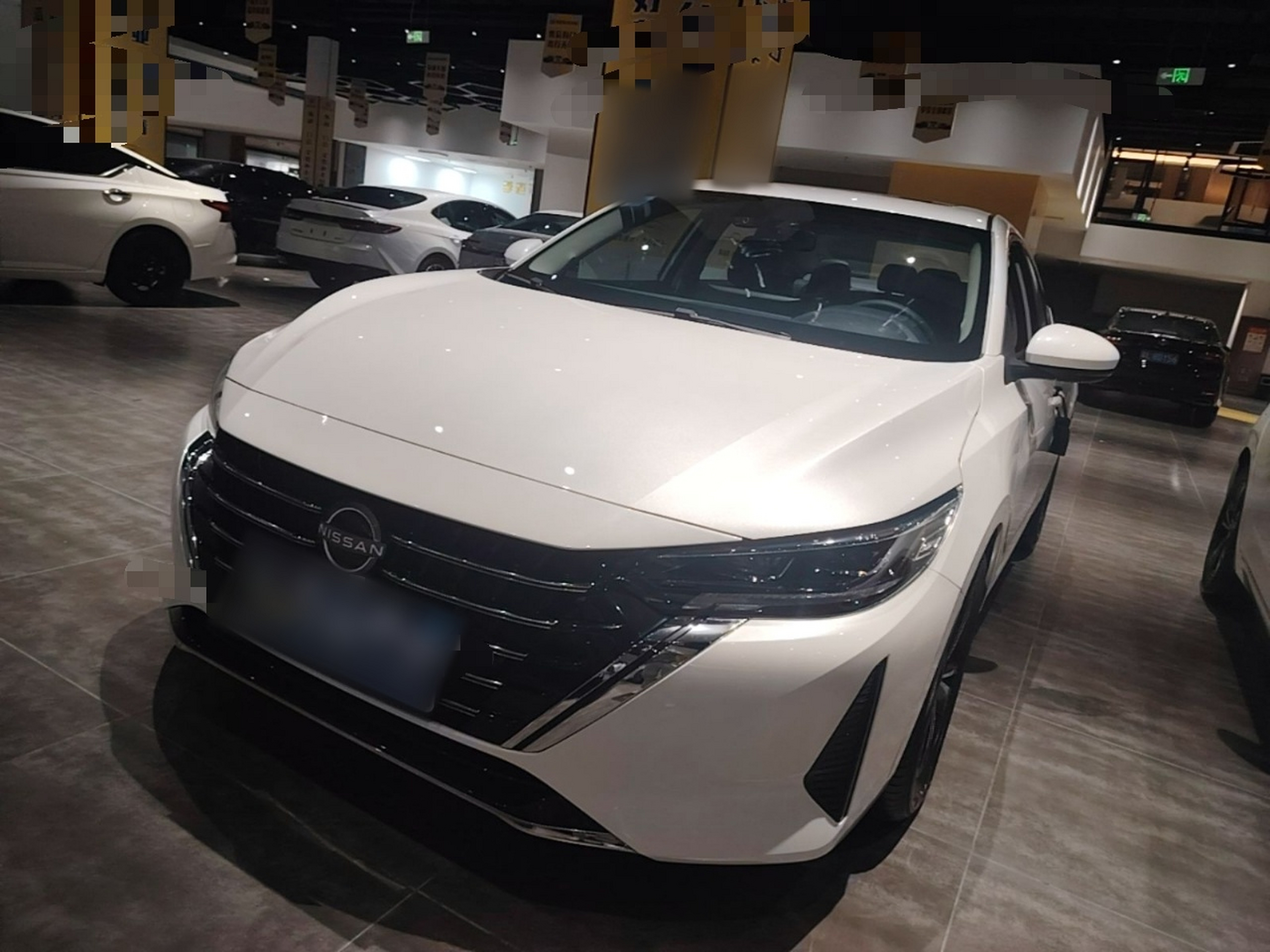 Under Front Bumper