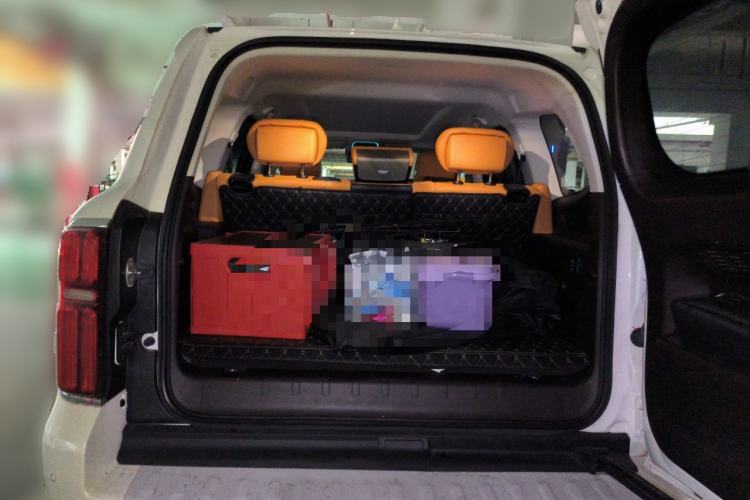 Used Tank 500 New Energy 2024 Hi4-T
