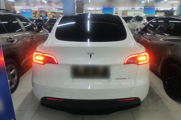 Used Tesla Model Y 2021 Revised Version 2 Long-Range All-Wheel-Drive Edition
