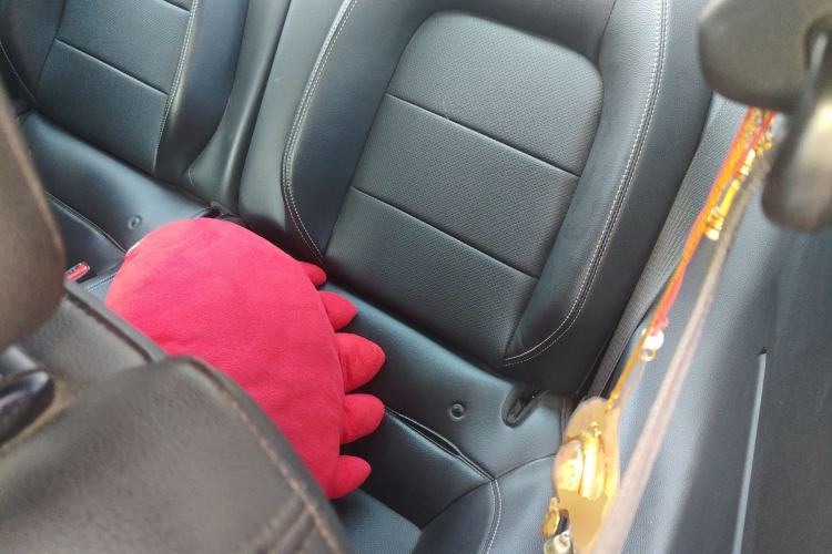 Used Ford Mustang 2017 2.3T Performance Edition