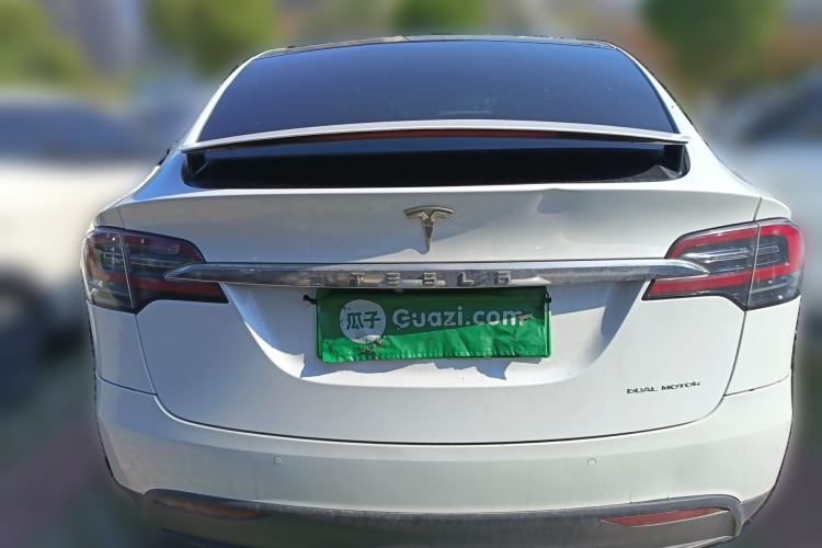 Used Tesla Model X 2017 X 100D Long Range Edition Rear