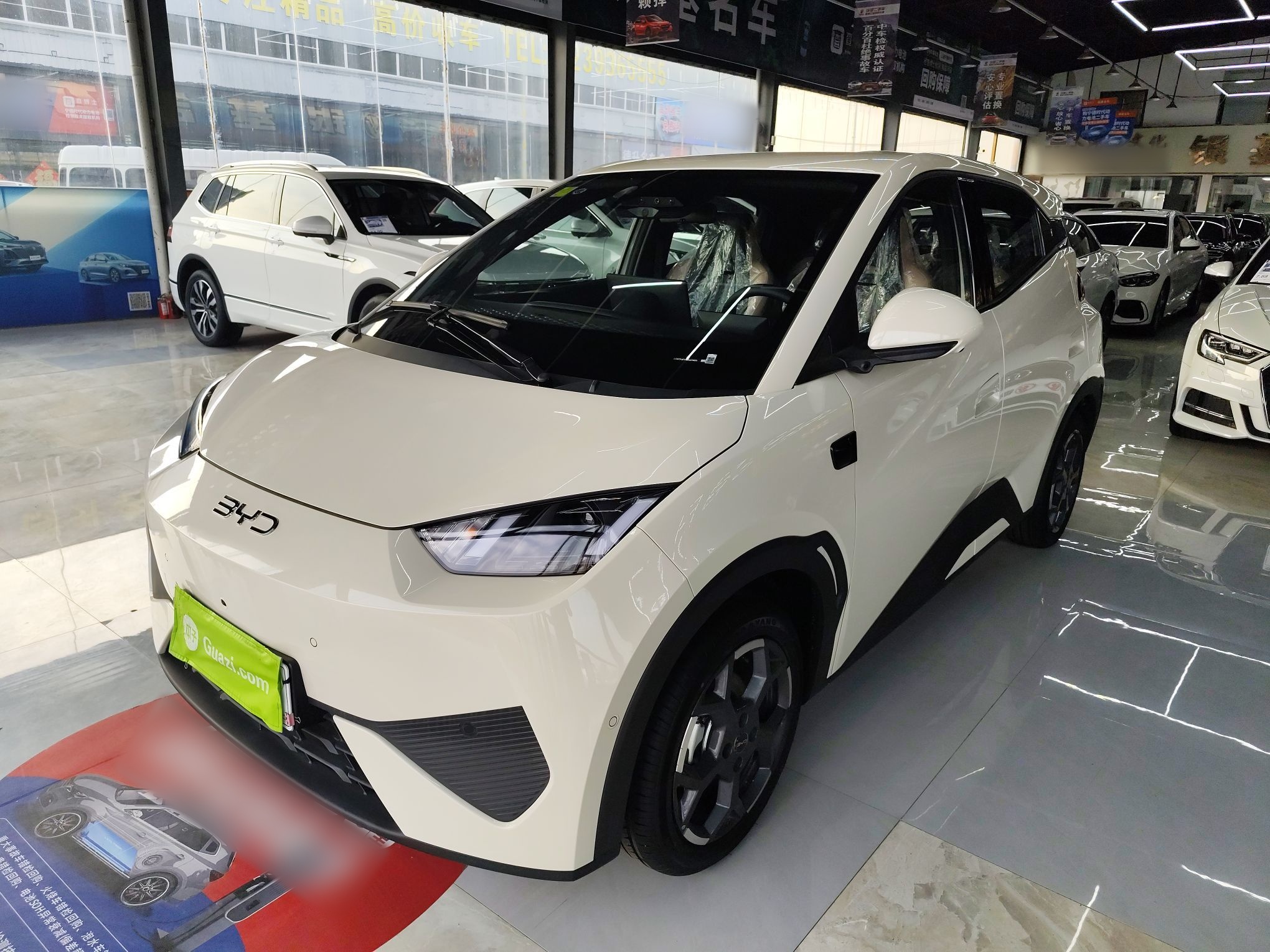 Parte inferior delantera