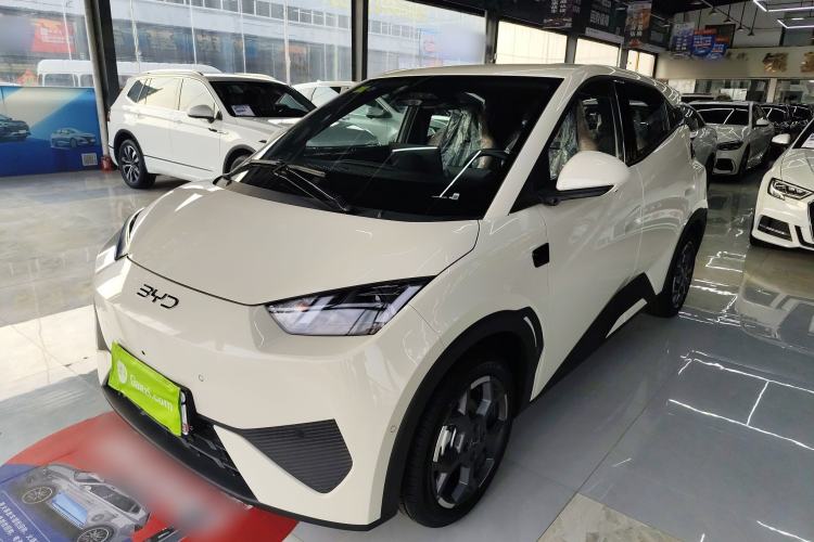 Used BYD Seagull 2025 Smart Drive Version 305 km Freedom Edition