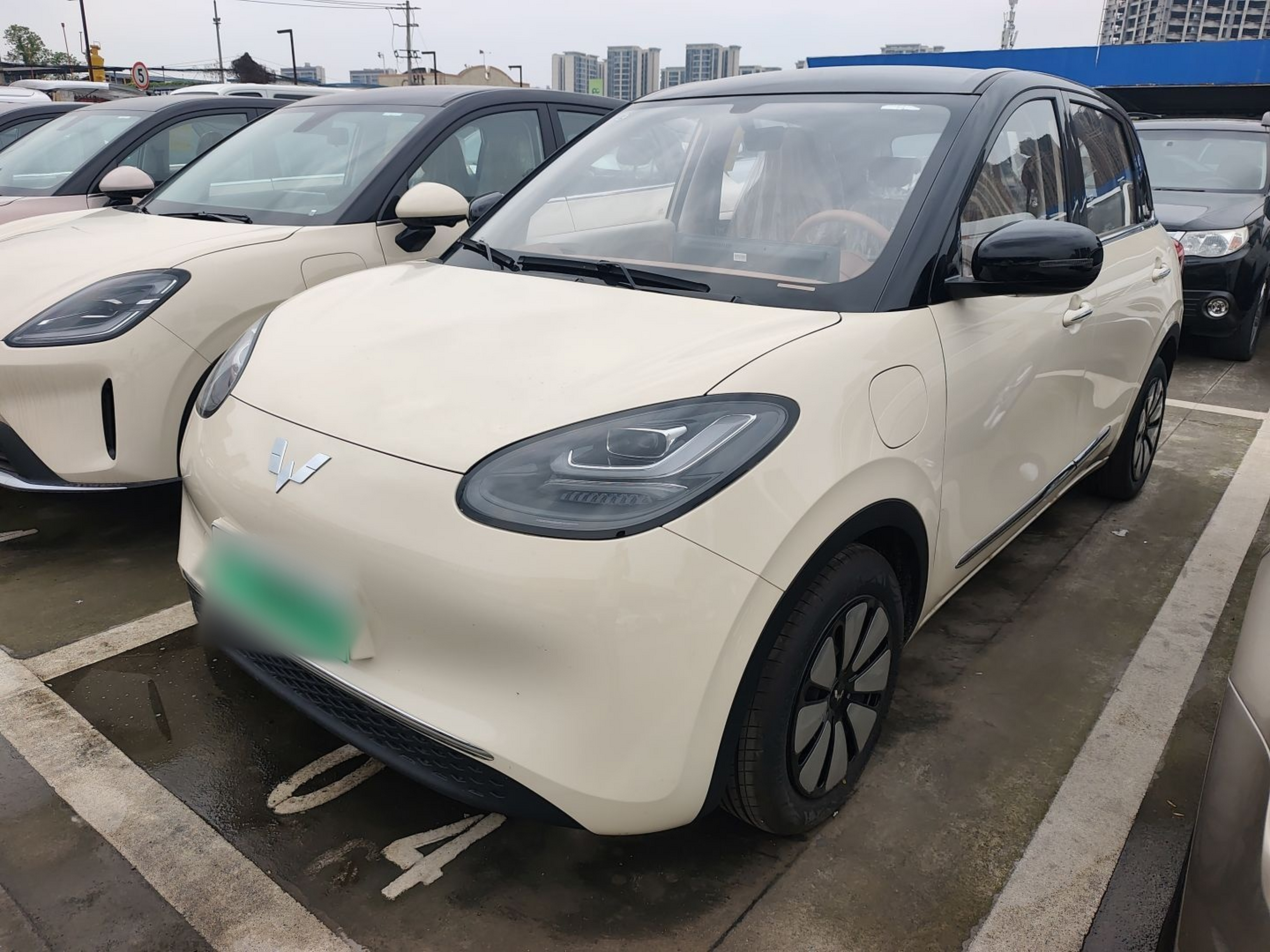 Parte inferior delantera