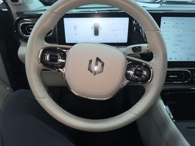 Used Leapmotor C11 2021 Luxury Edition — 10