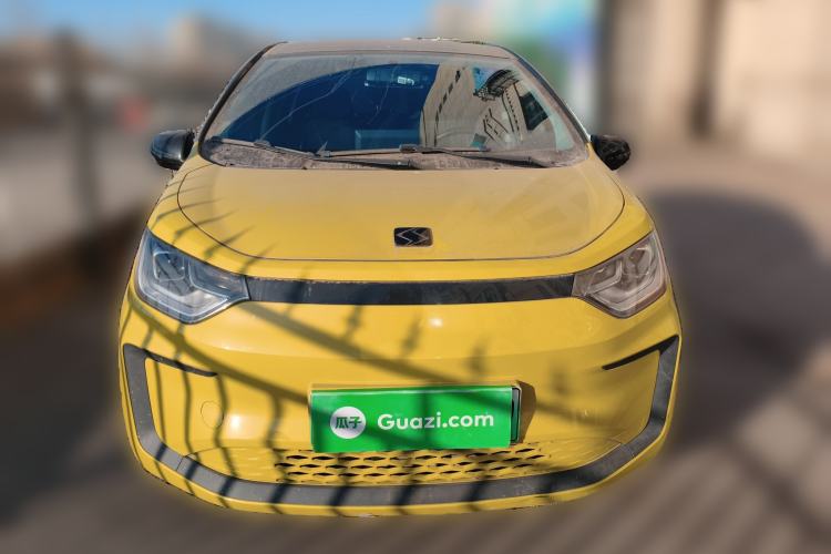 Used SOL E10X 2022 Flower Fairy Style Baby's Breath
