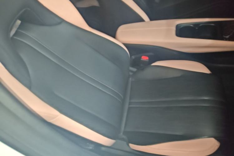 Used BYD Seagull 2023 Flying Edition Right Front Seat