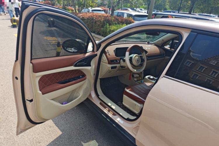 Used ORA Good Cat 2021 400km Standard Range Venus Edition Lithium-Ion Battery
