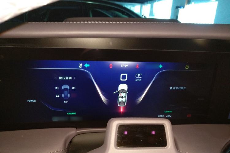 Used Hongqi E-HS9 2021 510 km Flagship Edition Four Seats
