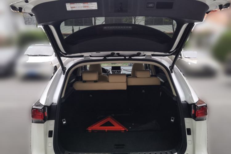 Used Lexus NX 2016 200 All-Wheel Drive FENGSHANG Version Trunk