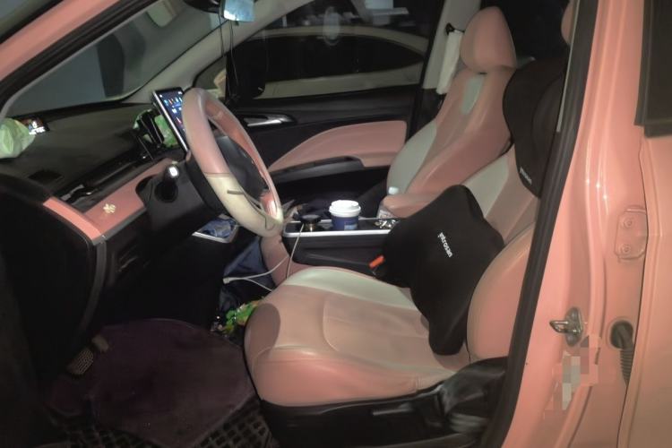 Used NETA V 2021 Witch Edition Left Front Seat