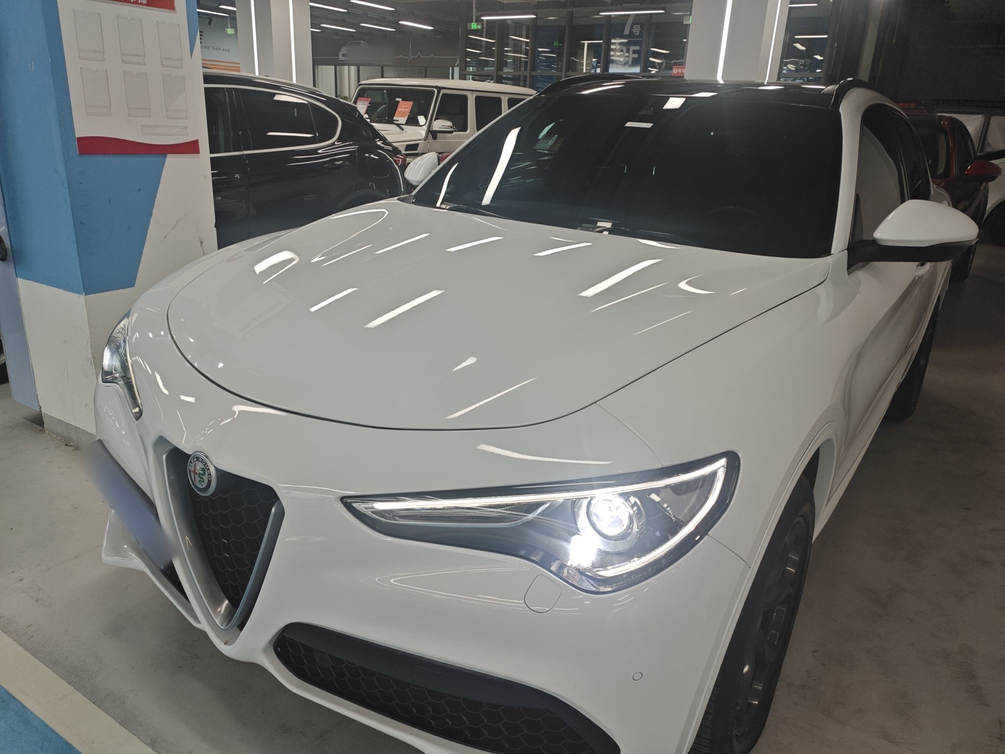 تحت مقدمة السيارة