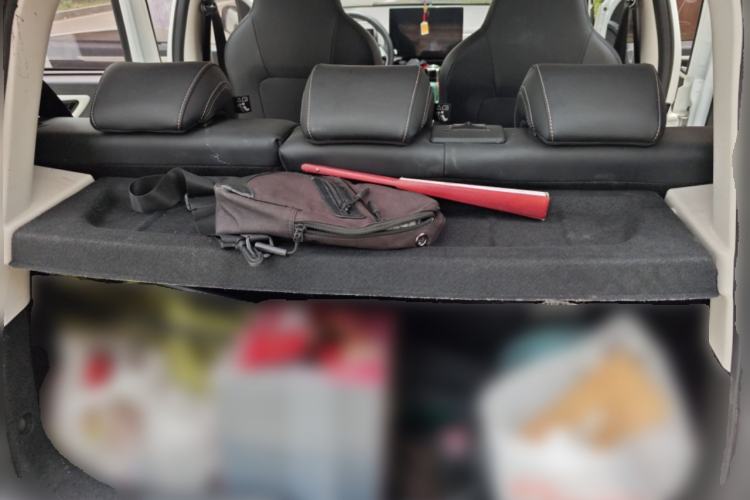 Used SOL E10X 2022 Flower Fairy Design Four-Leaf Clover