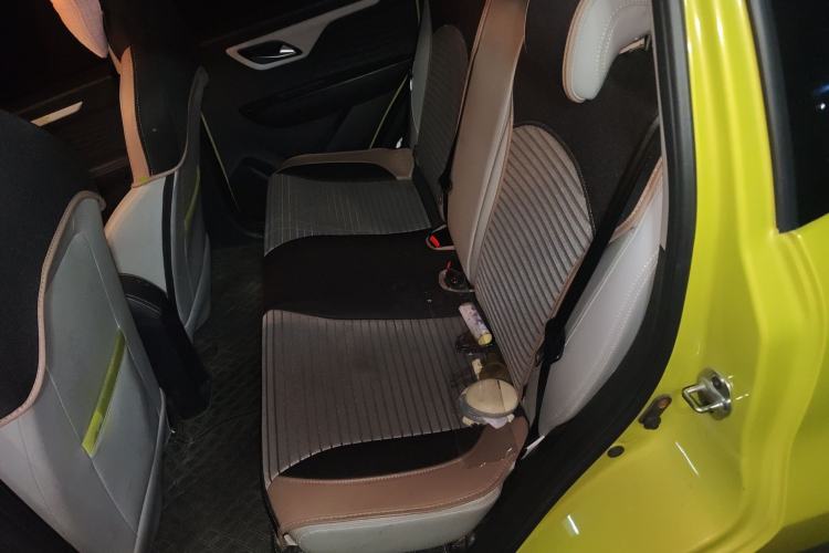 Used SOL E10X 2022 Flower Fairy Design Four-Leaf Clover