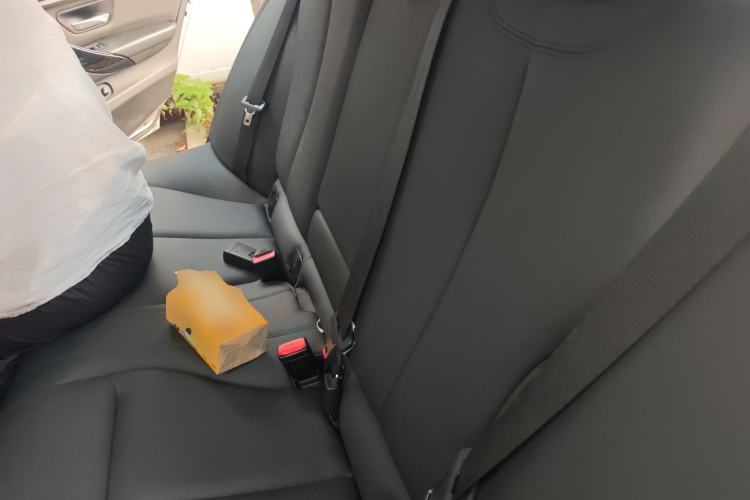 Used BMW 3 Series 2017 320Li Luxury Design Package Left Rear Seat