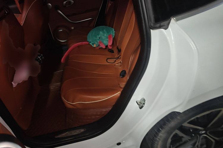 Used ORA Lightning Cat 2022 555 km Luxury Edition
