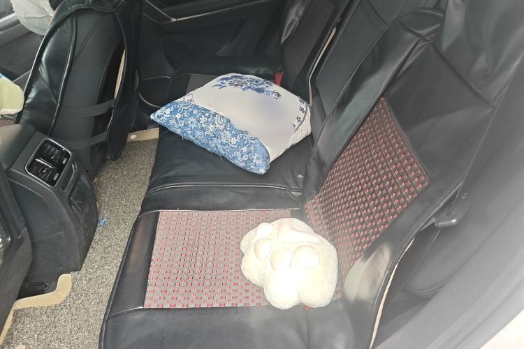 Used Haval H6 Coupe 2016 Blue Label 1.5T Manual Two-Wheel Drive Elite Model Left Rear Seat