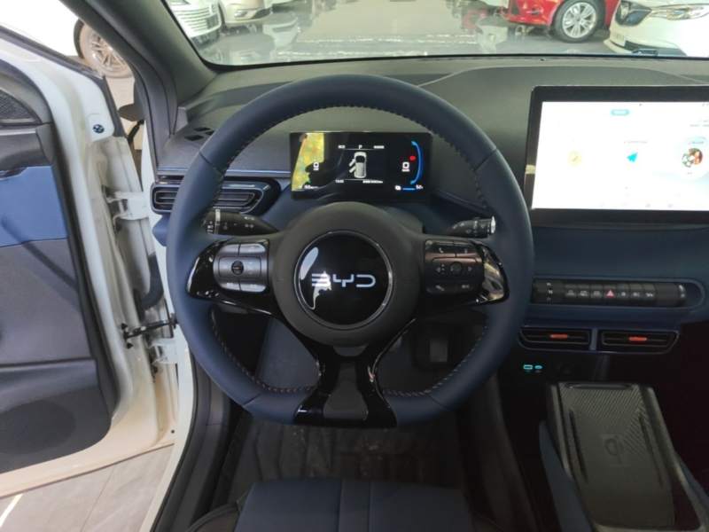 Used BYD Seagull 2025 305 km Free Version — 10