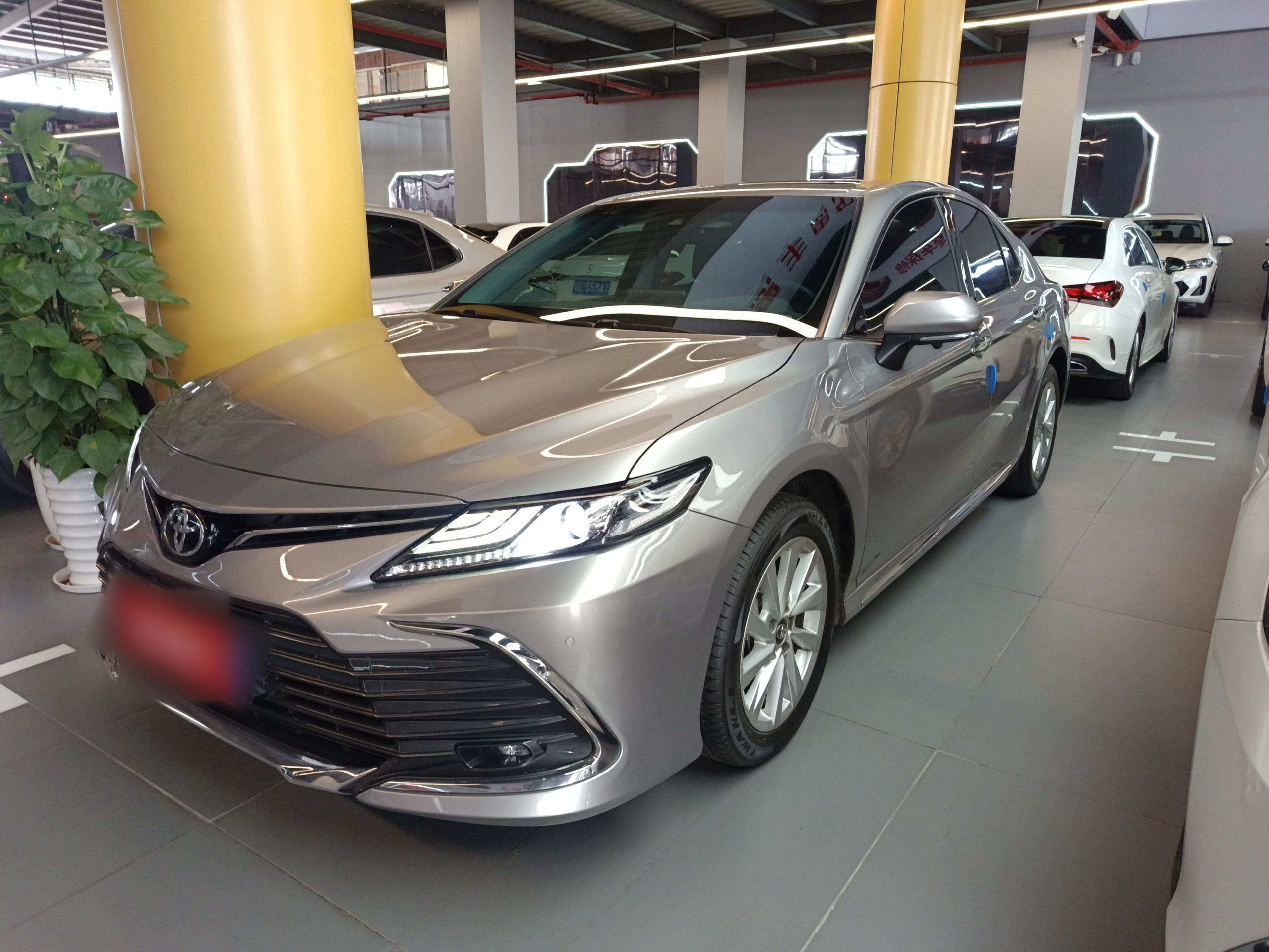 Parte inferior delantera