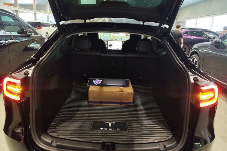 Used Tesla Model Y 2021 Standard Range Rear-Wheel Drive Version