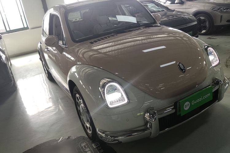 Used ORA Ballet Cat 2023 401 km Luxury Version