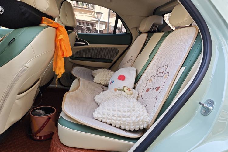 Used ORA Good Cat 2023 401 km Standard Range Luxury Version Lithium Iron Phosphate Left Rear Seat