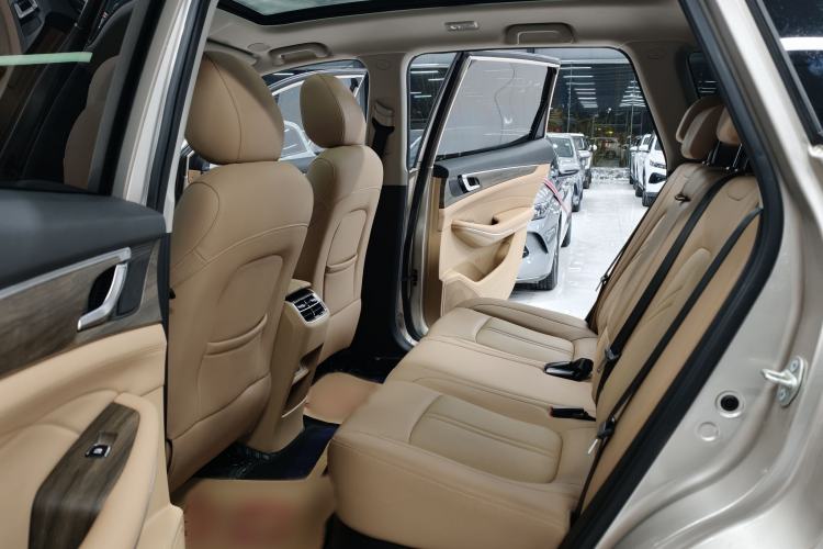 Used Landian E5 2023 1.5L DE-i 100KM Zhenxiang Edition 5-seater
