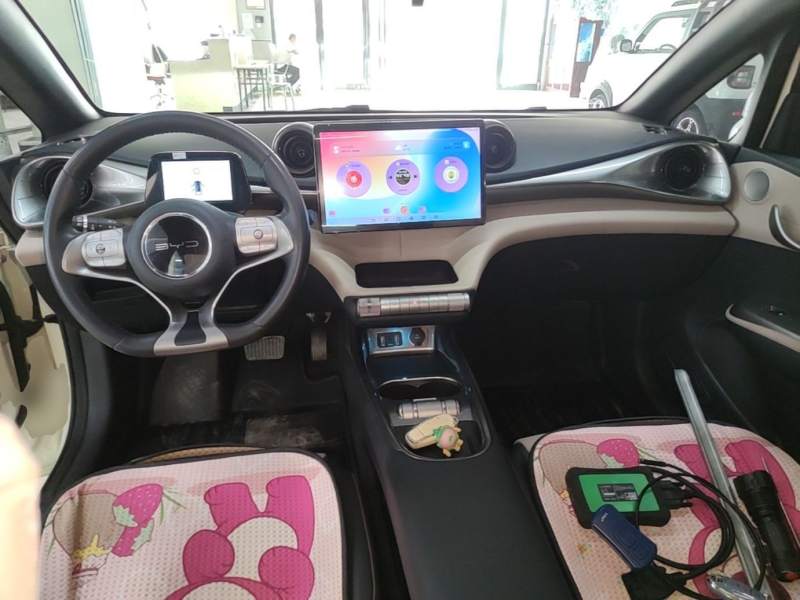 Used BYD Dolphin 2021 405 km Fashion Edition — 9