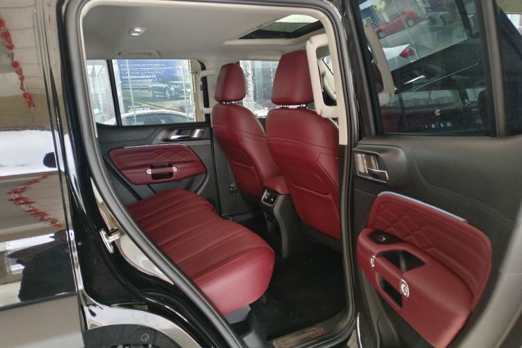 Used Tank 300 2024 2.0T Conqueror