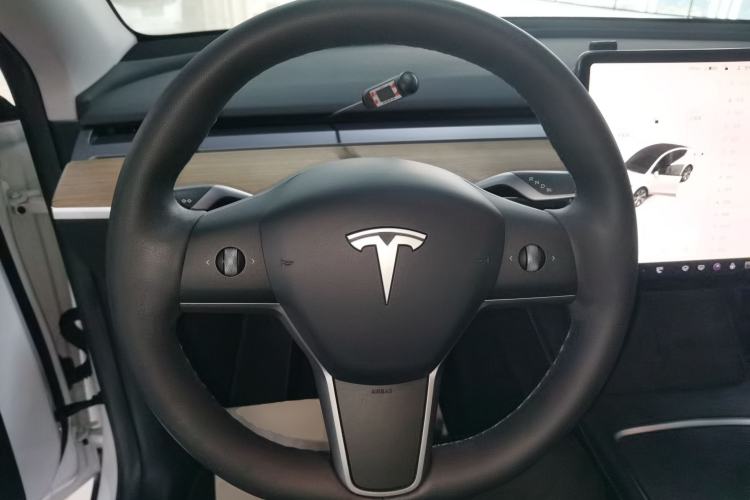 Used Tesla Model Y 2021 Standard Range Rear-Wheel Drive Version

