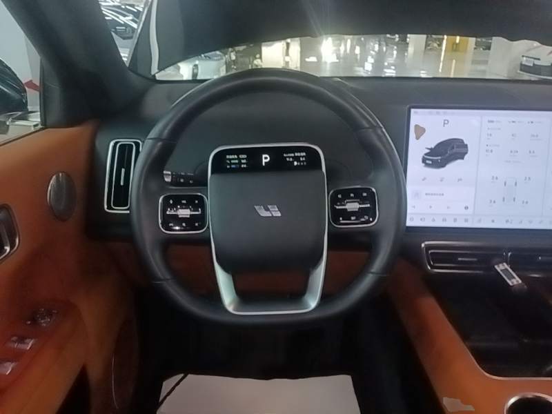 Used Li Auto L9 2022 Max model — 10
