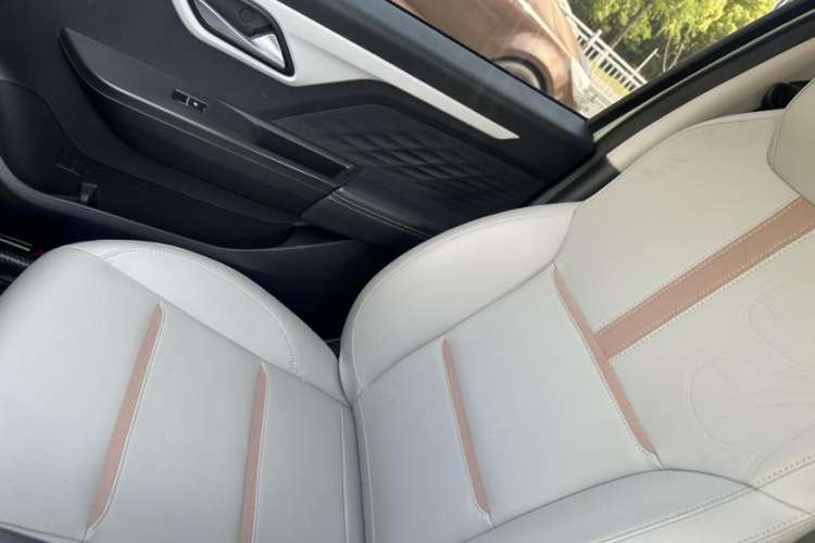 Used SOL E10X 2022 Flower Fairy Style Baby's Breath