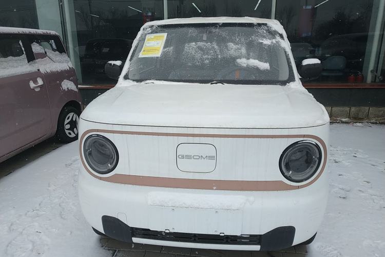 Used Geely Galaxy Panda 2024 Panda Mini 200km Endurance Bear

